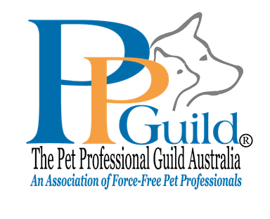 PPG Logo